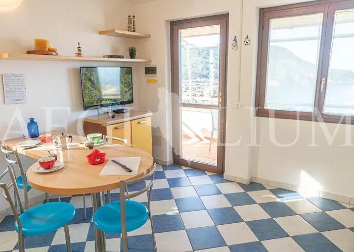 Giglio Viola קאמפזה